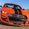 Ford Shelby GT500 Car paint by numbers