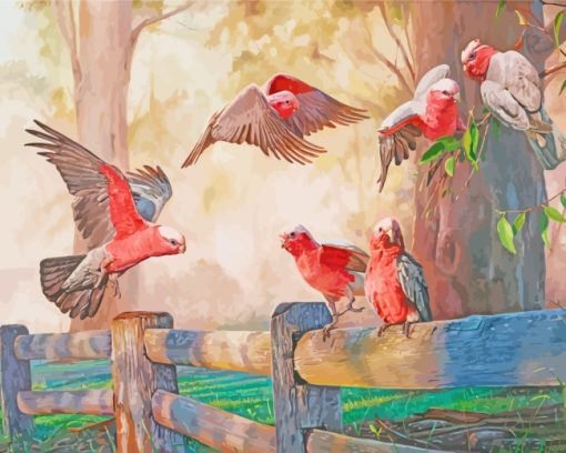 Galah Birds Gathering paint by numbers