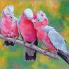 Galah Birds On Branch paint by numbers