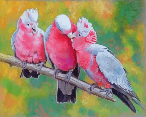 Galah Birds On Branch paint by numbers