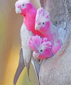 Cute Galah Birds Family paint by numbers