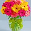 Pink And Yellow Gerberas paint by numbers
