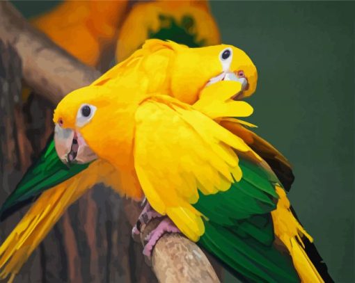 Aesthetics Golden Conures paint by numbers