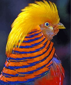 Golden Pheasant Head paint by numbers