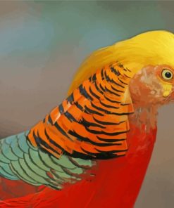 Aesthetic Golden Pheasant paint by numbers
