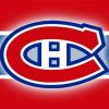 Habs Logo paint by numbers