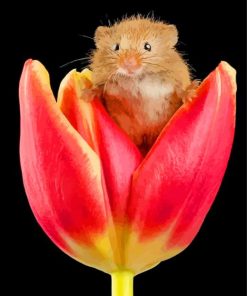 Hamster On Flower paint by numbers