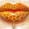 Honey Lips paint by numbers
