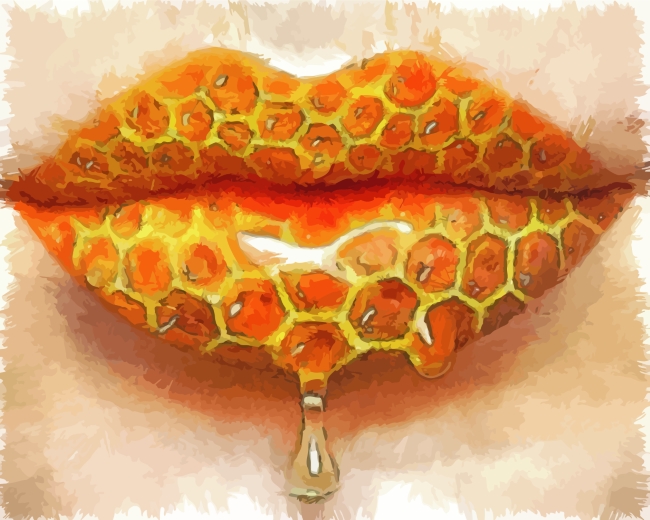 Honey Lips paint by numbers