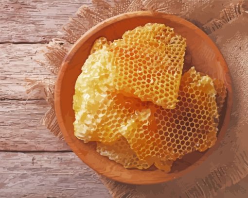 Honeycomb In Bowl paint by numbers