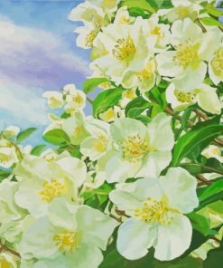 White Jasmine Flowers paint by numbers
