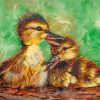 Little Ducklings Birds paint by numbers