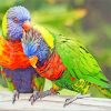 Rainbow Lorikeet Birds paint by numbers