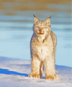 Lynx Cat In Snow paint by numbers