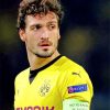 Mats Hummels Player paint by numbers