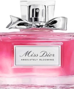 Miss Dior Bottle paint by numbers