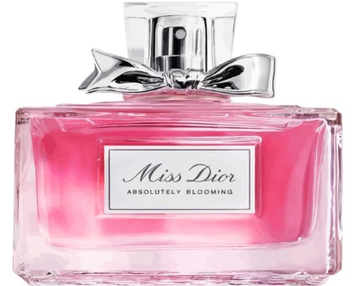 Miss Dior Bottle paint by numbers