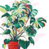 Aesthetic Monstera Plant Pot paint byb numbers