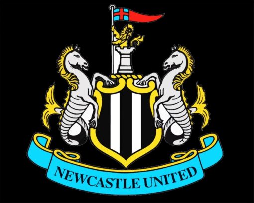 Newcastle United Logo Club paint by numbers