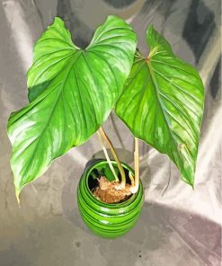 Philodendron Plant paint by numbers