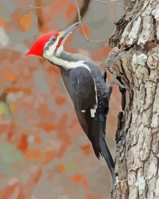 Pileated woodpecker Bird paint by numbers