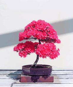 Bonsai Tree With Pink Leaves paint by numbers