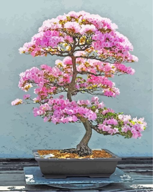 Pink Bonsai Tree paint by numbers