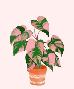 Pink Green Philodendron Plant paint by numbers