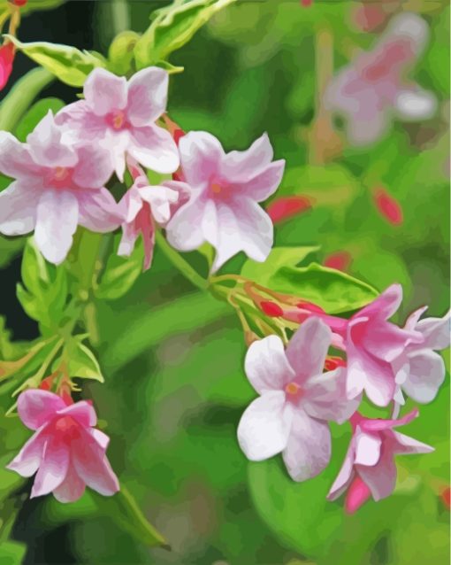Pink Jasmine Flowers paint by numbers