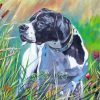 Pointer Dog Art paint by numbers
