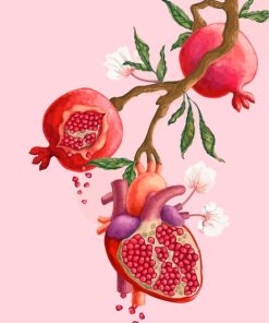 Aesthetic Pomegranate Art paint by numbers