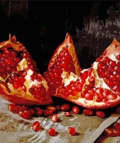 Pomegranate Still Life paint by numbers
