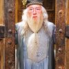 Albus Dumbledore paint by numbers