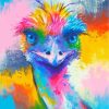 Rainbow Emu Bird paint by numbers
