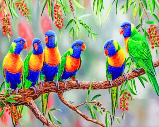 Colorful Lorikeet Birds paint by numbers