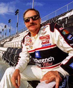 Ralph Dale Earnhardt Sr paint by numbers