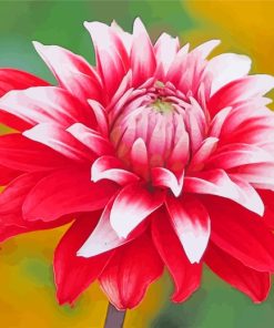 Aesthetic Dahlia Flower paint by numbers