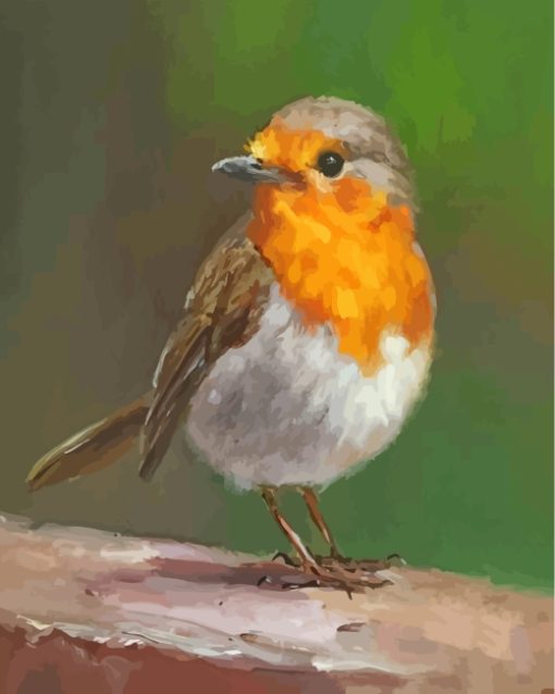 Aesthetic Robin Bird Art paint by numbers