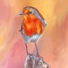Cute Robin Bird paint by numbers