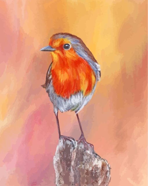 Cute Robin Bird paint by numbers