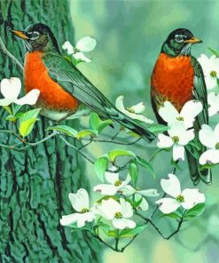 Robin Birds In Spring paint by numbers