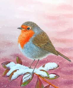 Robin In Snow paint by numbers