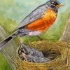 Robin With Baby Birds paint by numbers