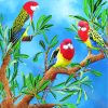 Cute Eastern Rosella Birds paint by numbers