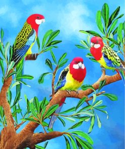 Cute Eastern Rosella Birds paint by numbers