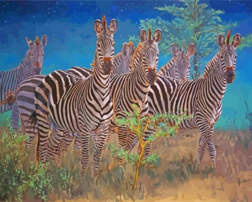 Safari Zebras Animals paint by numbers