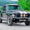Shelby GT500 Car paint by numbers