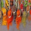 Spices Spoons paint by numbers