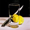 Still Life With Lemon And Knife paint by numbers