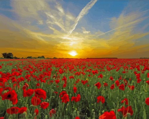 Sunset Poppies Field Meadow paint by numbers